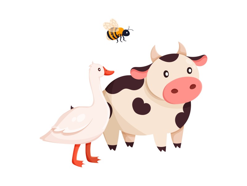 3° Incontro - 19 Maggio